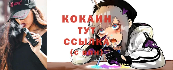 индика Богданович