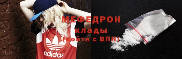 индика Богданович