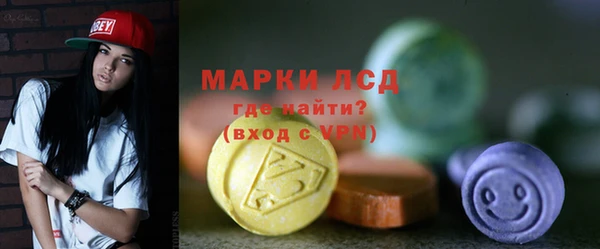 индика Богданович