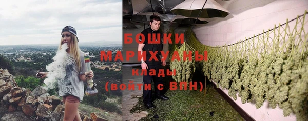 таблы Богородицк