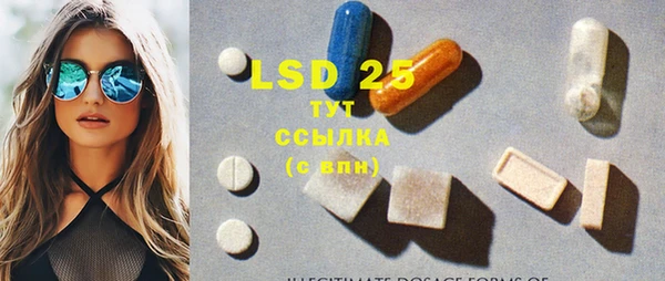 индика Богданович