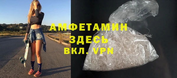 индика Богданович
